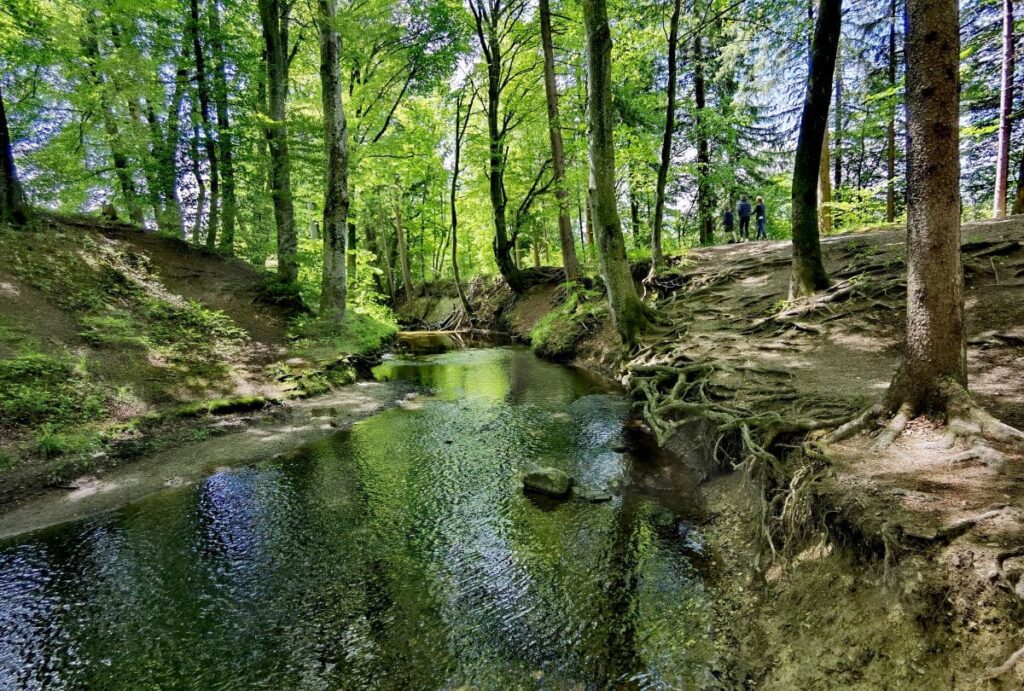 Natur Sehenswürdigkeiten Deutschland - die Maisinger Schlucht