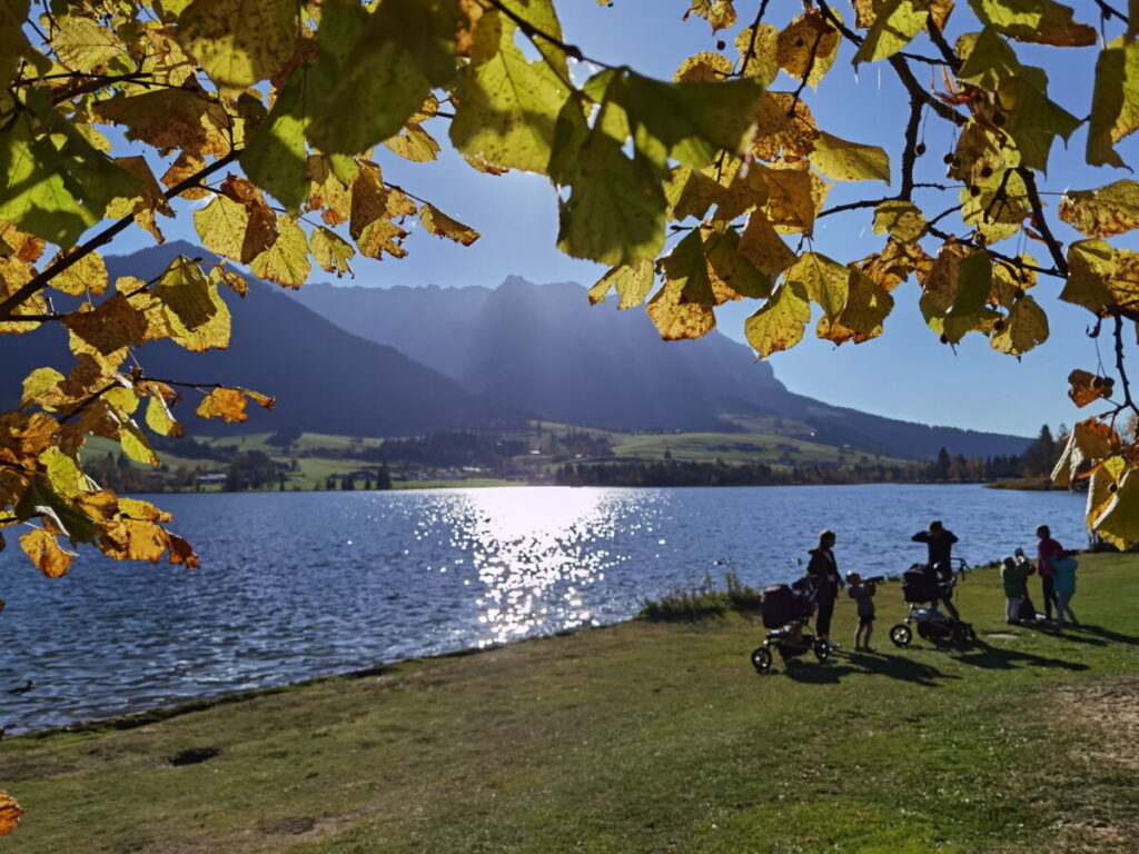 Natur Sehenswürdigkeiten in Österreich: Herbst am Walchsee, dahinter das Kaisergebirge